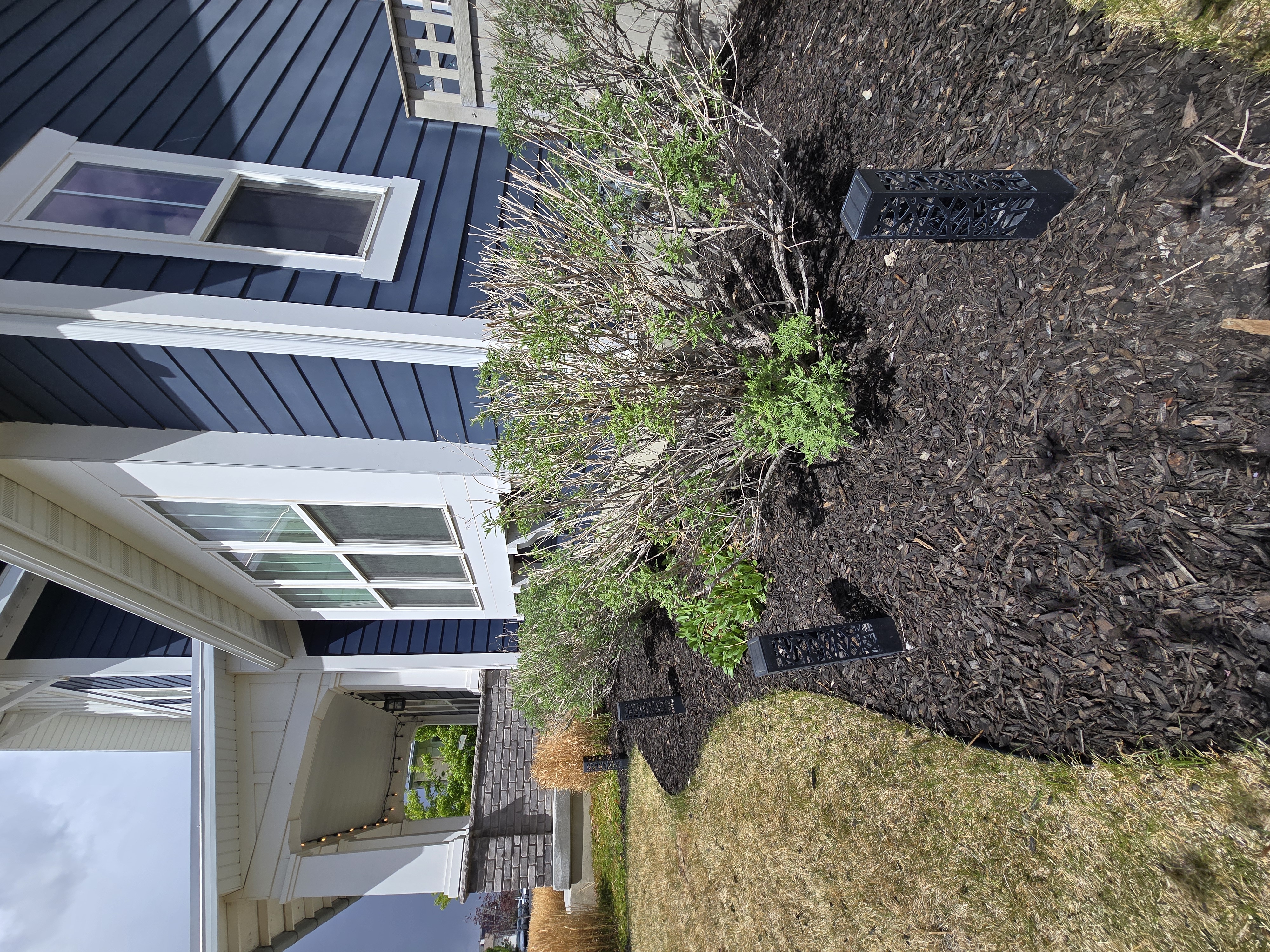 Mulching after