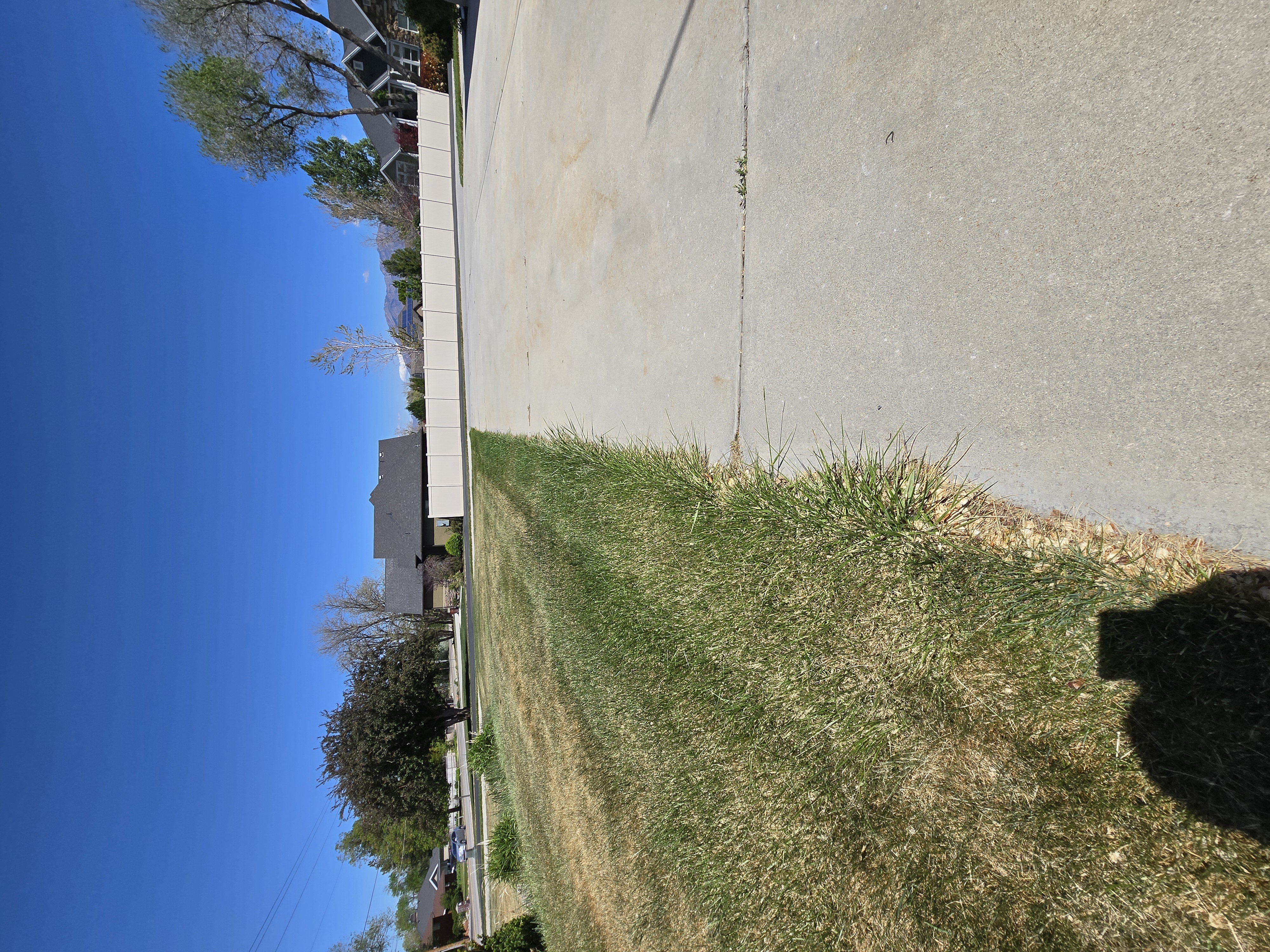 Lawn edging before