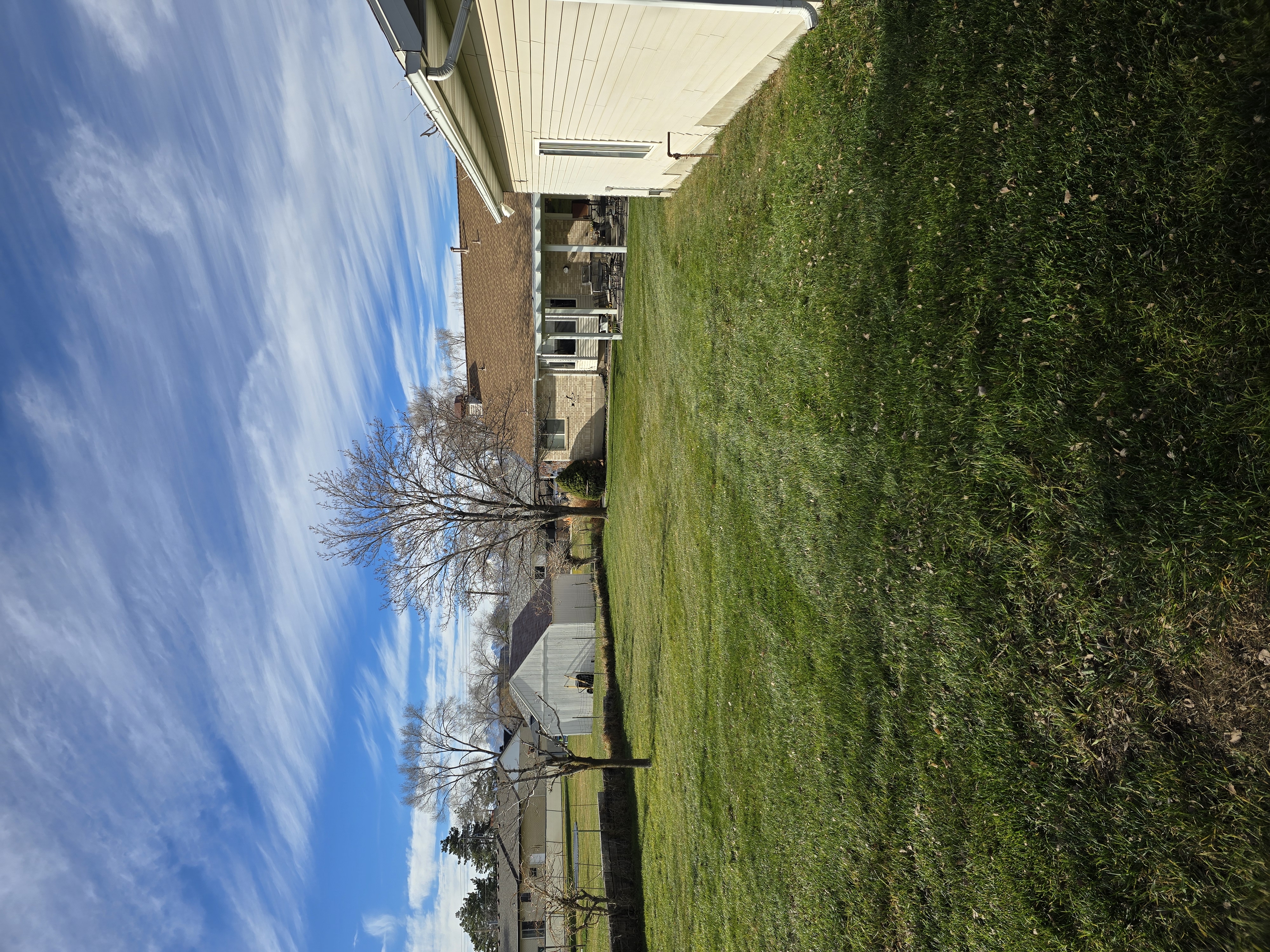 Seasonal cleanup after — leaves cleared from the grass