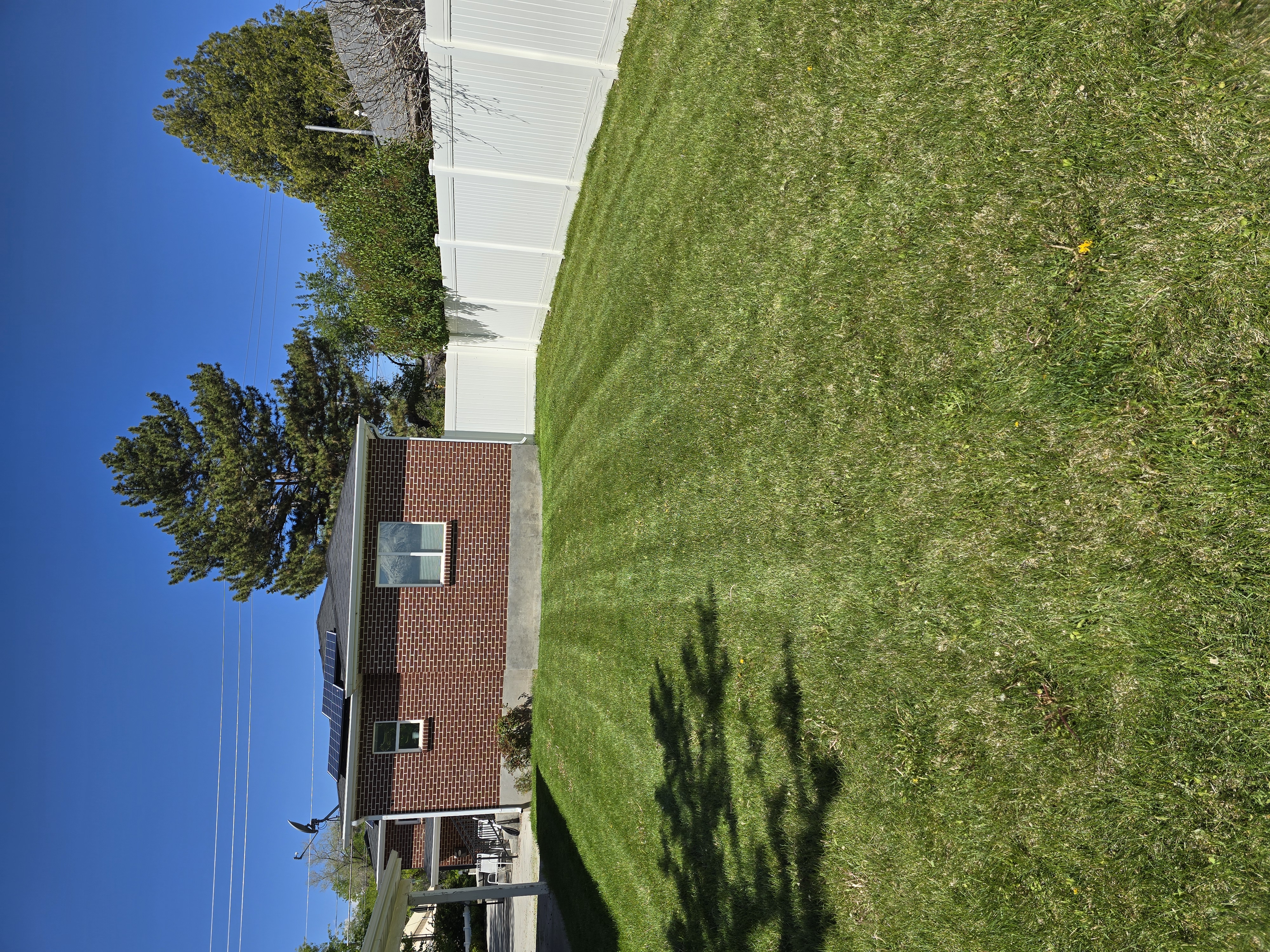 Lawn mow after — freshly cut grass with clean, defined mowing lines