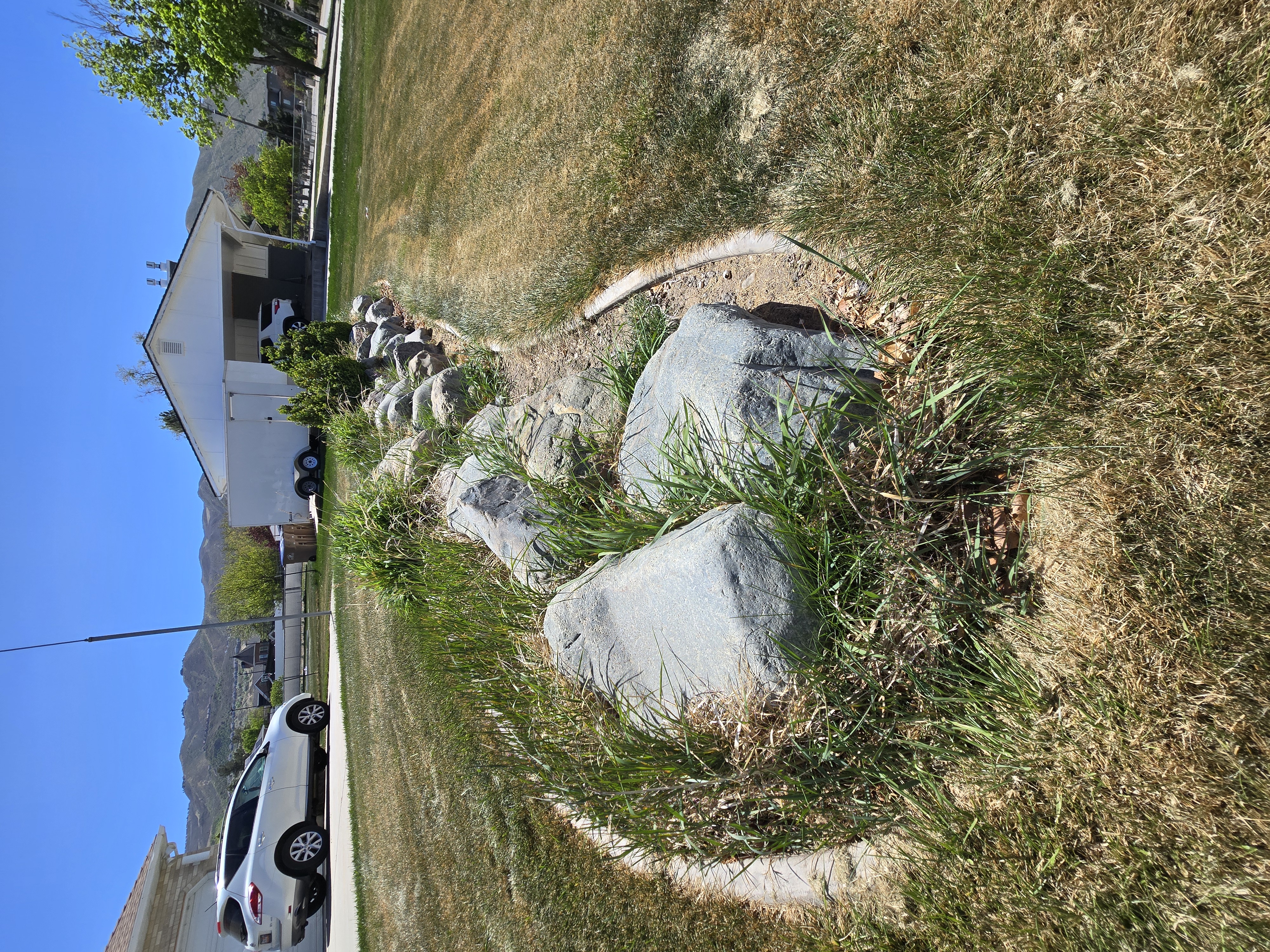 Weed control before